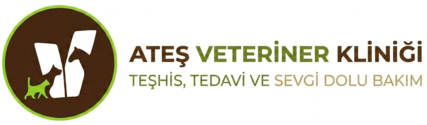 Ateş Veteriner Kliniği | Ödemiş İzmir